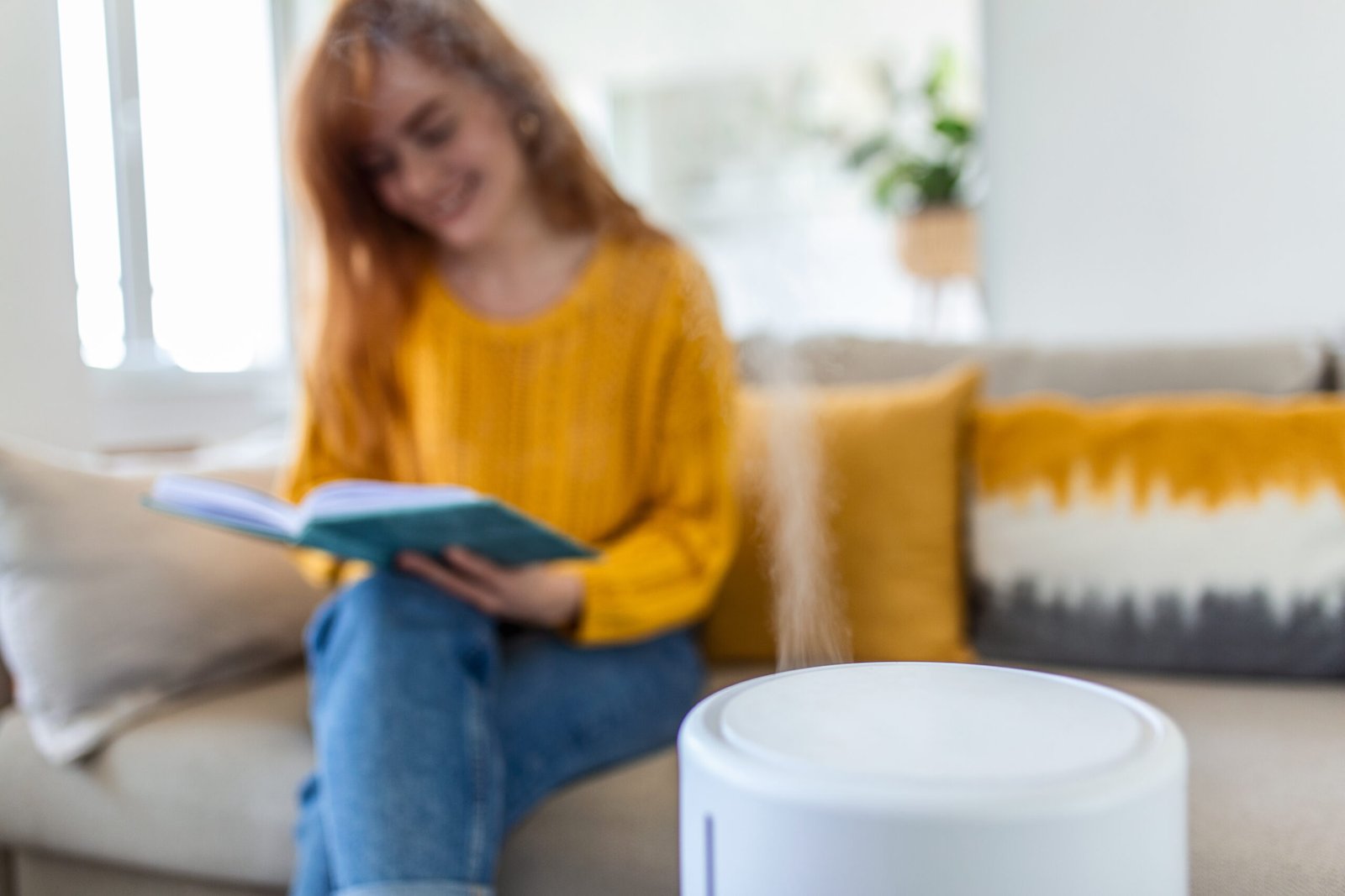 PureAir Air Purification Device